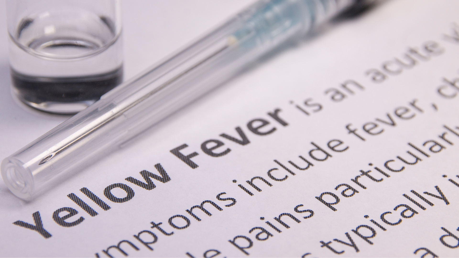 Everything you need to know about yellow fever